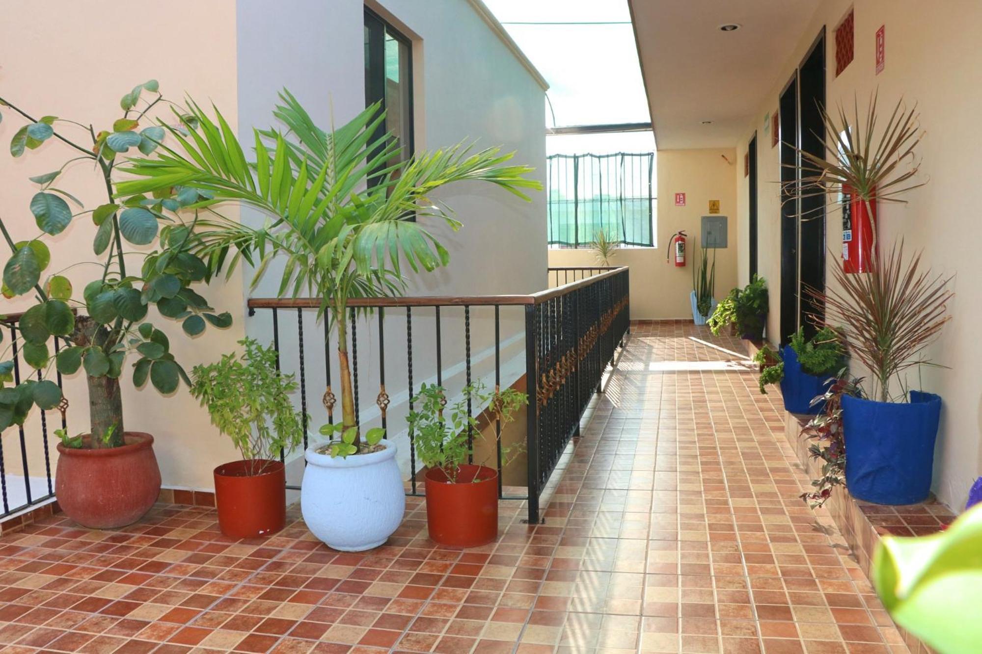 Hotel Casa Pellegrin 메리다 외부 사진