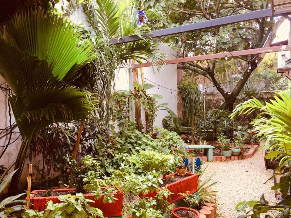 Hotel Casa Pellegrin 메리다 외부 사진