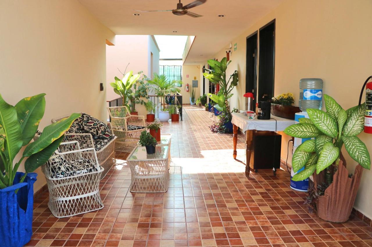 Hotel Casa Pellegrin 메리다 외부 사진