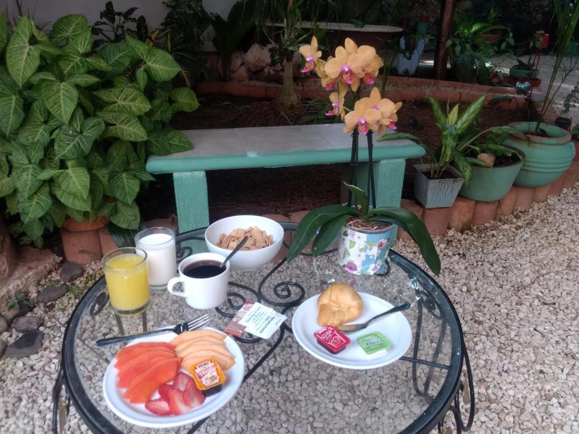 Hotel Casa Pellegrin 메리다 외부 사진