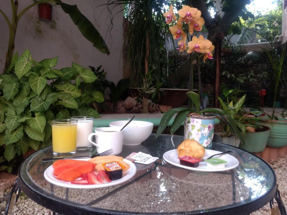 Hotel Casa Pellegrin 메리다 외부 사진